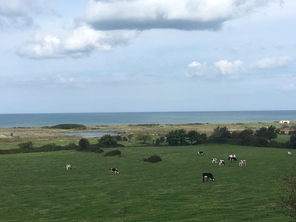 Le Mas Normand Ver-sur-Mer エクステリア 写真